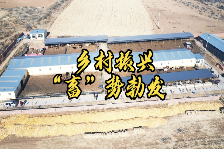 鄉村振興 “畜”勢勃發