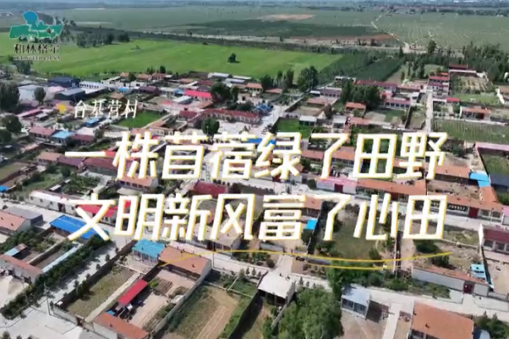 鍙板熀钀ユ潙錛氫竴鏍嫓钃跨豢浜嗙敯閲?  鏂囨槑鏂伴瀵屼簡蹇冪敯