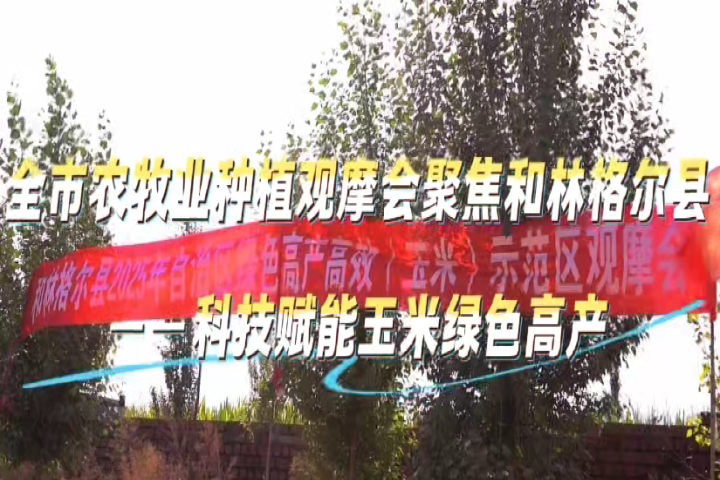 鍏ㄥ競鍐滅墽涓氱妞嶈鎽╀細鑱氱劍鍜屾灄鏍煎皵鍘庫€斺€旂鎶€璧嬭兘鐜夌背緇胯壊楂樹駭