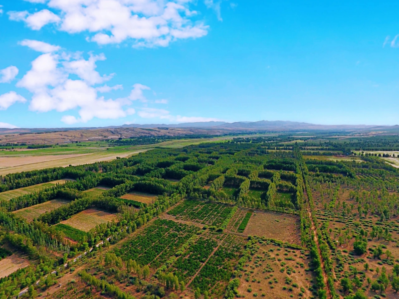 緇胯壊鍙戝睍鏂扮瘒绔?jpg